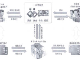 知网论文检测范文--我国P2P平台发展现状